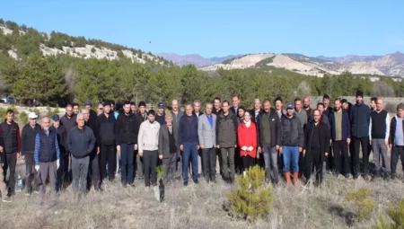 Beypazarı'nda Hz. Muhammed Hatıra Ormanı Oluşturuldu