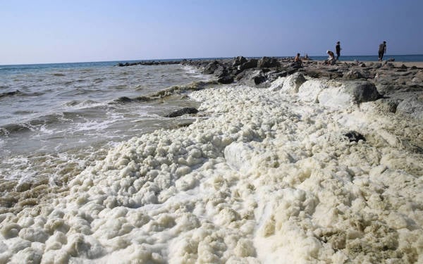 Bir ailenin ölümü: Müsilaj, midye ve vibrio riski