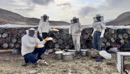 Siirtli Arıcılar, Çemikare Yaylası'nda Son Bal Hasadını Yapıyor