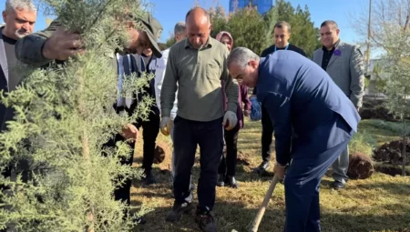 Diyarbakır'da Dünya Prematüre Günü Etkinliği Düzenlendi