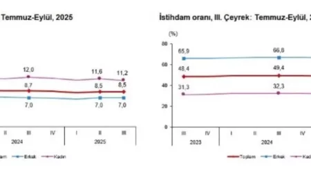 TÜİK: 2025 3. Çeyrekte İşsizlik Oranı Yüzde 8,5