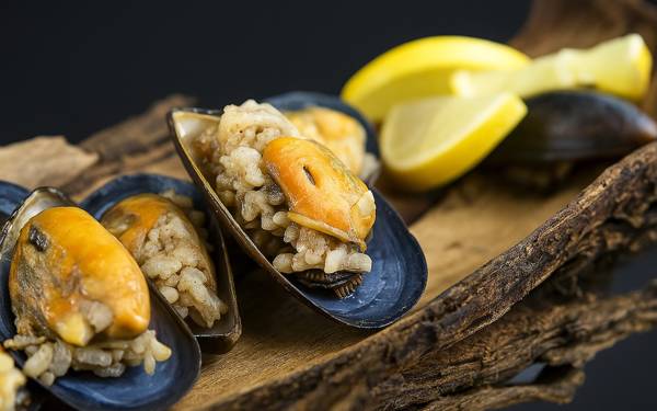 Türkiye tatilinde aile boyu gıda zehirlenmesi: İki çocuk öldü, anne ve baba yaşam desteğinde